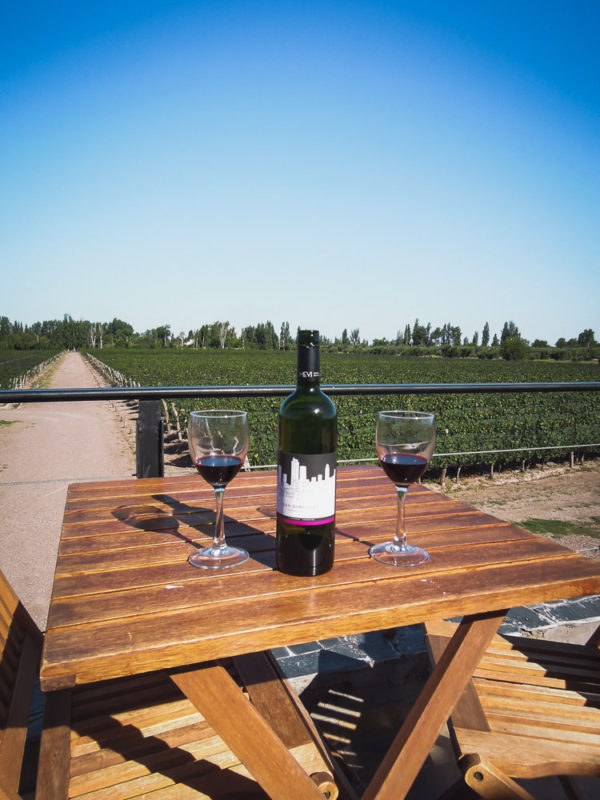 authentic drinks around the world, red wine in Argentina, ArboursAbroad