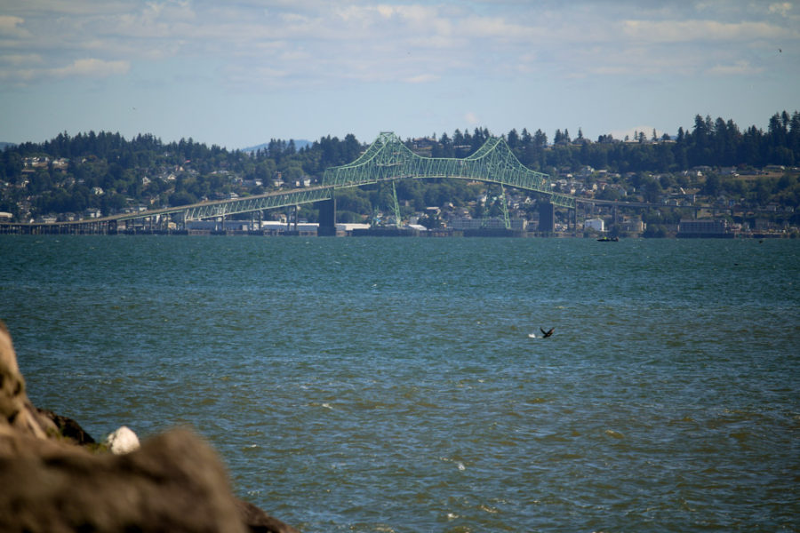 4.1 mile green bridge across the Columbia River, ArboursAbroad