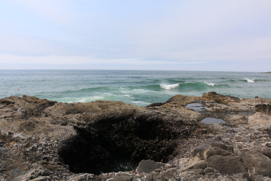 Thor's Well, Yachats Oregon, PNW, Highway 101, ArboursAbroad, Coastal natural features