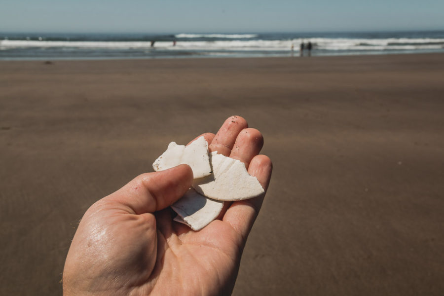 Coastal Towns of Oregon, Rockaway Beach, Sand Dollars in hand at beach