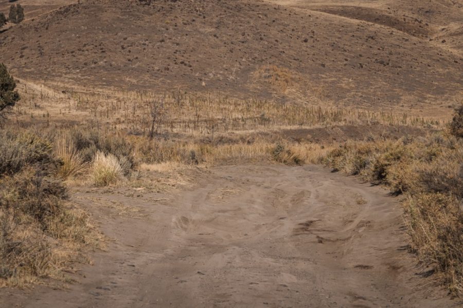 High clearance dirt road with hills in the background at Juntura Hot Springs, ArboursAbroad