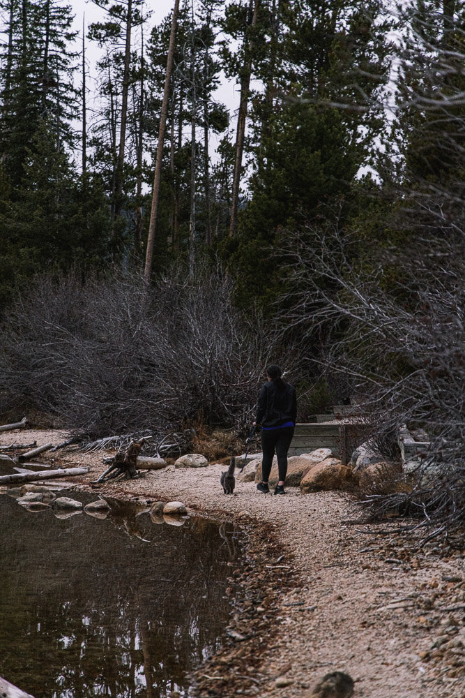 woman walking cat on leash near water, arboursabroad, vantrails