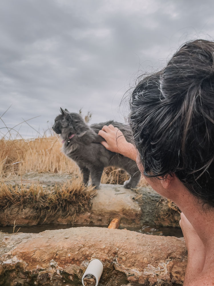 woman petting cat at hot spring, ArboursAbroad, Utah