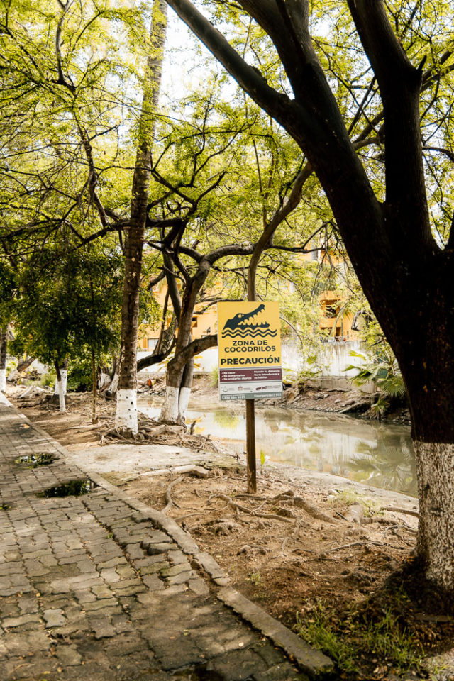 Alligator warning sign in Puerto Vallarta, ArboursAbroad