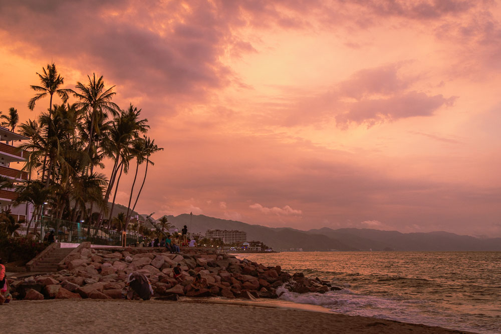 Mexico coastline in Puerto Vallarta at sunset with palm trees and pink sunset.