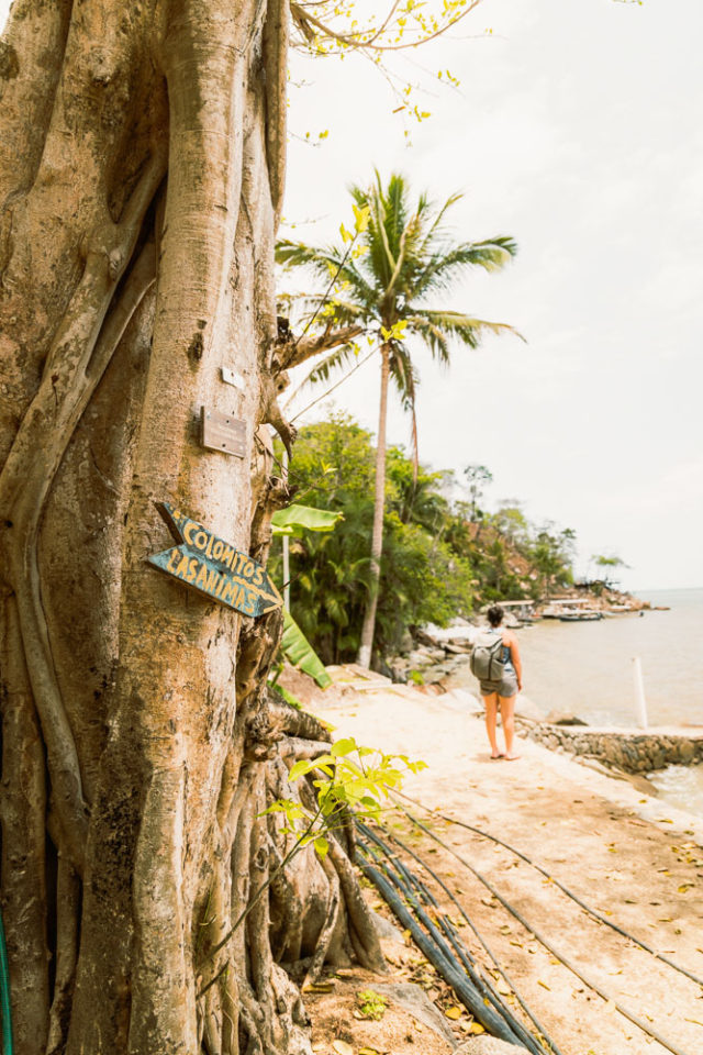 hiking to Los Colomitos Beach in Puerto Vallarta, Mexico