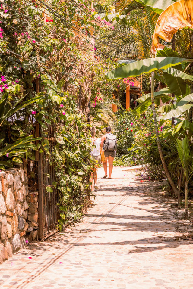 Colomitos Beach Hike, Puerto Vallarta, Mexico, ArboursAbroad, woman hiking on path