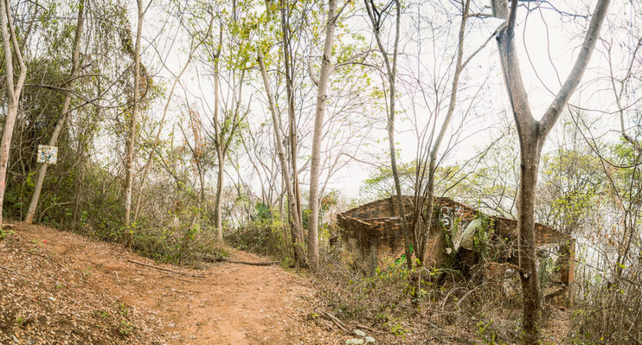 fork in the trail, beach hike, Puerto Vallarta, Mexico, ArboursAbroad
