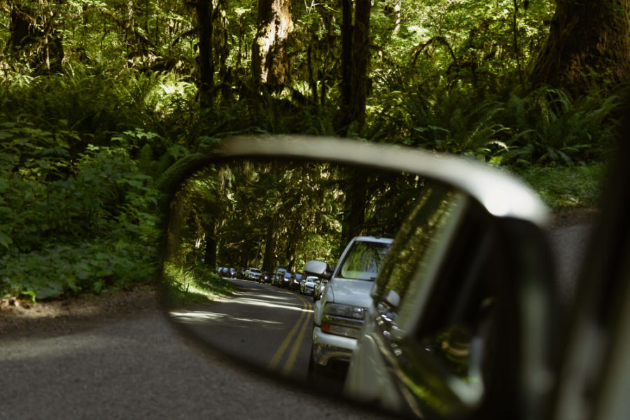 Hall of Mosses Road Construction, hall of mosses wait time, arboursabroad, Hoh Rainforest