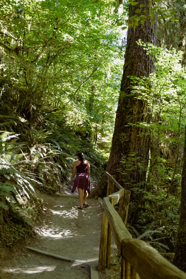 woman walking on hall of mosses trail in the Hoh Rainforest, ArboursAbroad