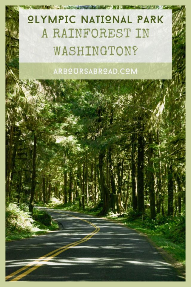 visitor's guide to hoh rainforest, ArboursAbroad, national parks