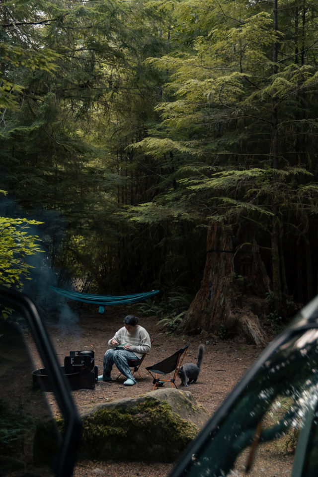 discovery pass free campsites, Washington, ArboursAbroad, Olympic National Forest