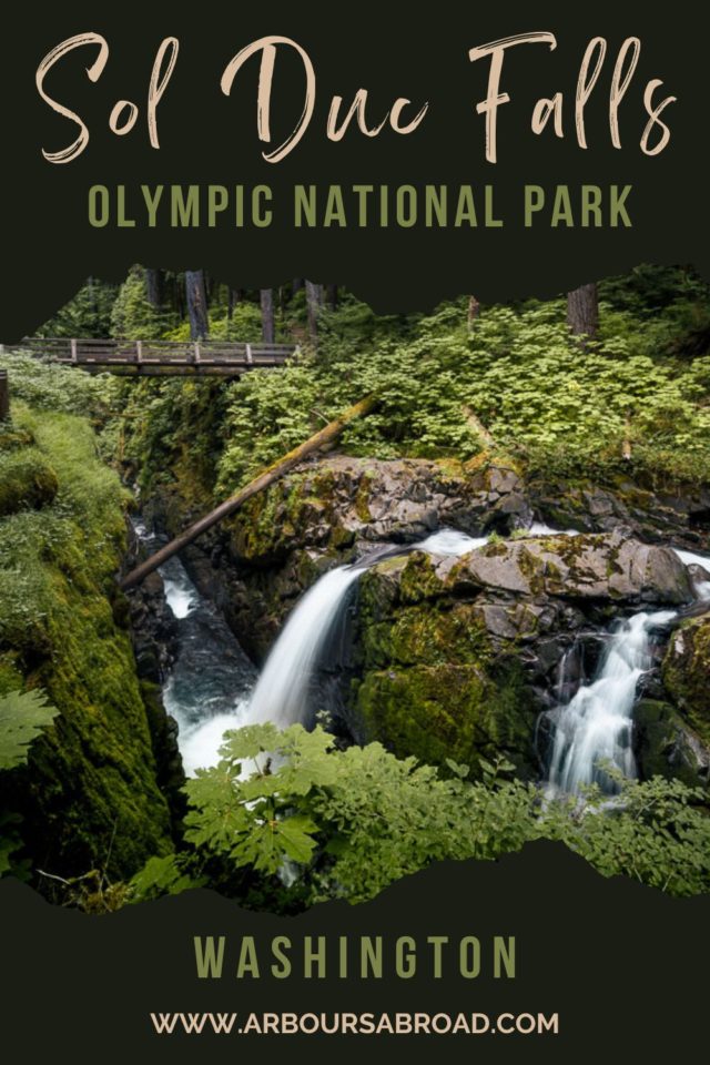 Sol Duc Falls, Olympic National Park, Washington, ArboursAbroad