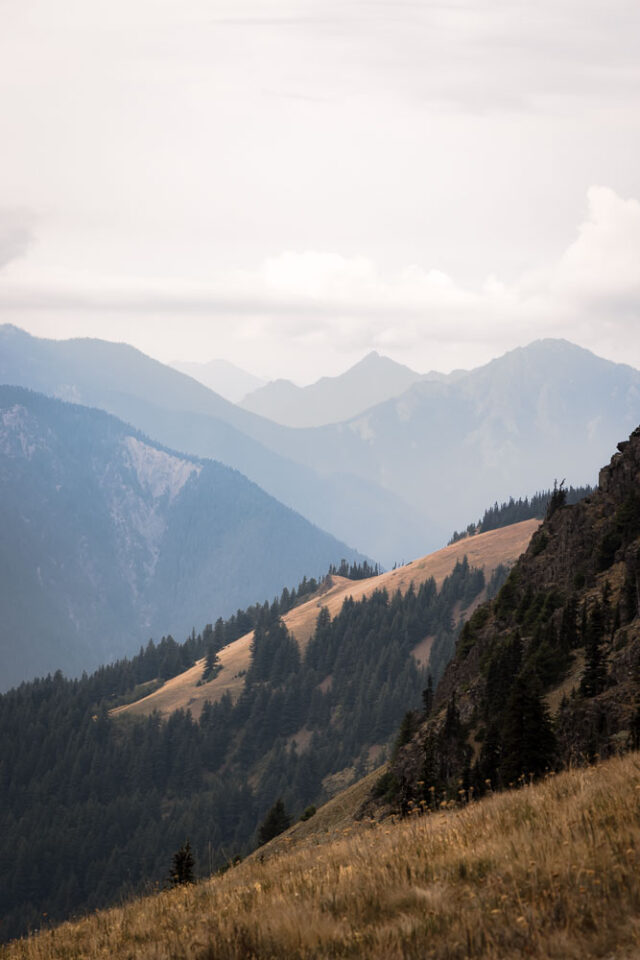 Hurricane Hill | 13 Day Hikes in Olympic National Park Hurricane Hill hike, arboursabroad, Olympic National Park