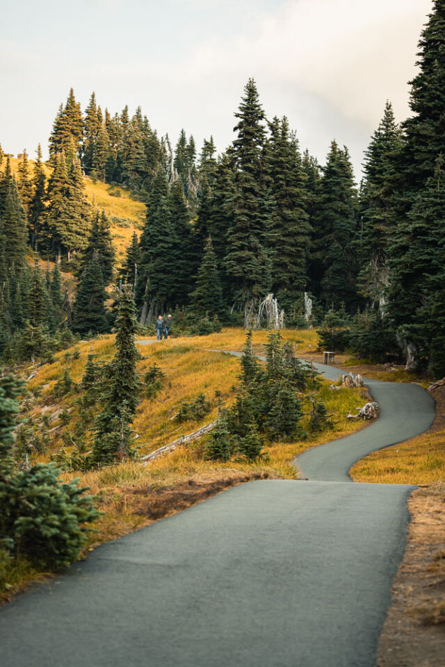 Olympic National Park Hiking Guide | 13 day hikes with maps + trail info hikes in Olympic National Park, Sunrise Point, Hurricane Ridge, ArboursAbroad