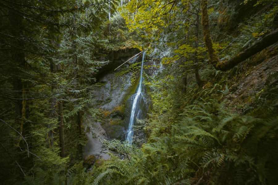 waterfall in PNW forest, Olympic National Park waterfall hike, Marymere Falls, ArboursAbroad