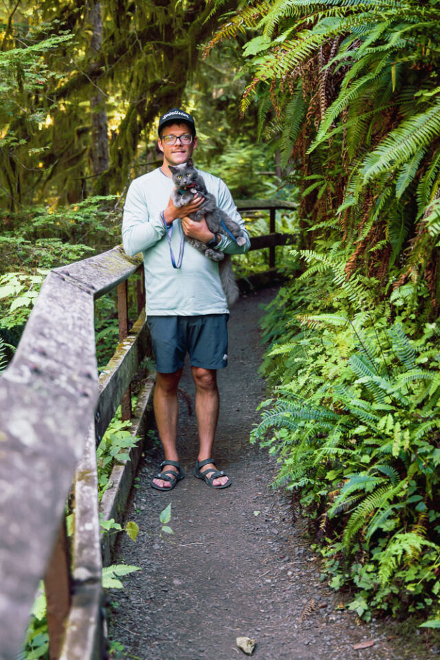 Quinault Rain Forest Nature Trail | Pet Friendly Hikes Near Olympic National Park hiking with pets near Olympic National Park, Quinault Rainforest, ArboursAbroad
