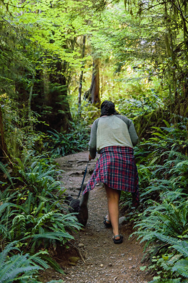 Pet Friendly Hike Near Olympic National Park Quinault Rainforest Hike, Olympic National Park, ArboursAbroad