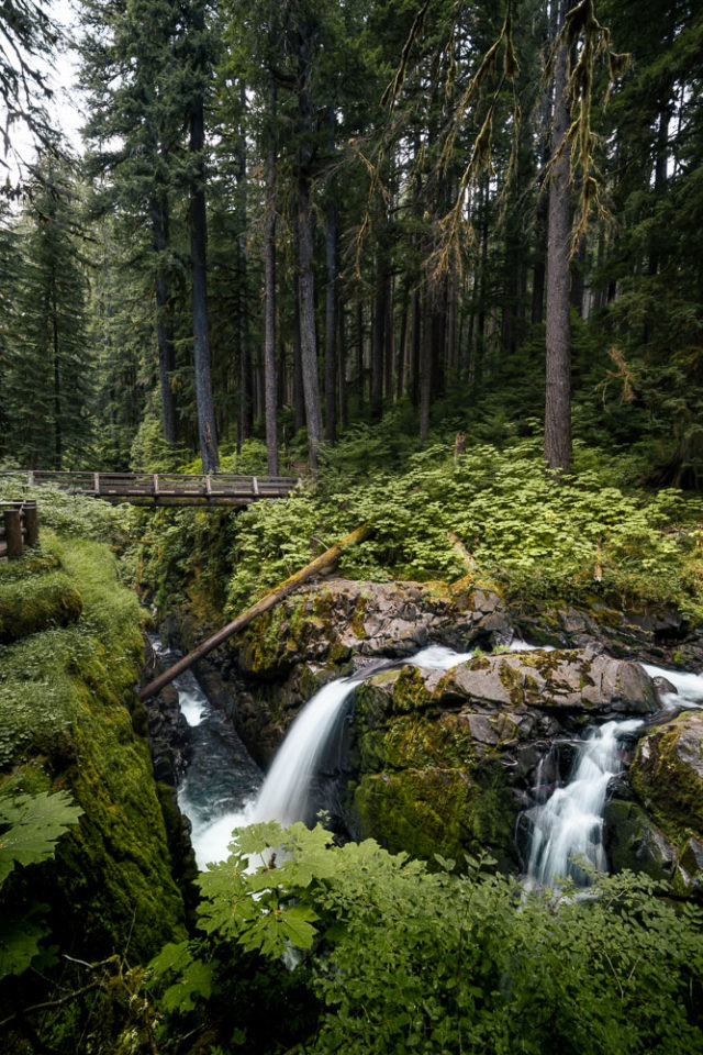 Sol Duc Falls in Olympic National Park, ArboursAbroad, waterfall with lush forest