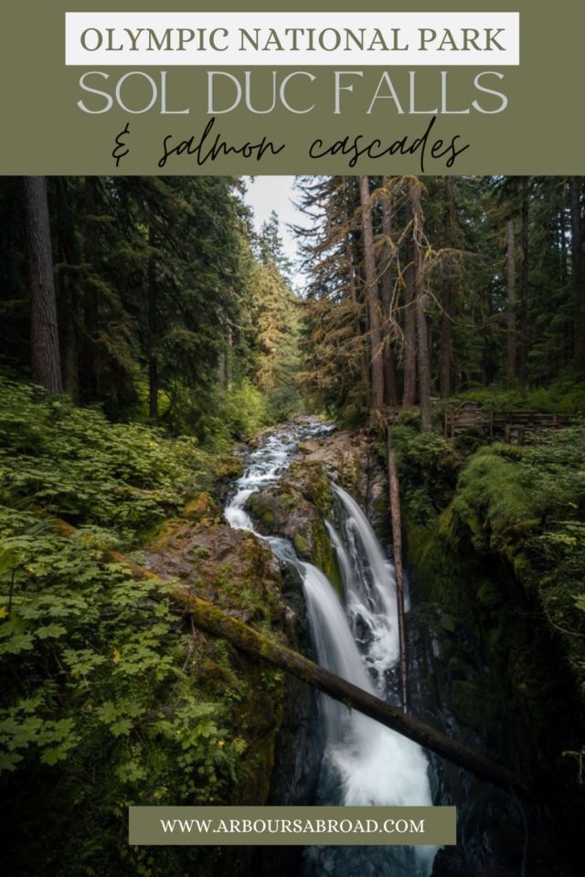 Olympic National Park, Sol Duc Falls, ArboursAbroad