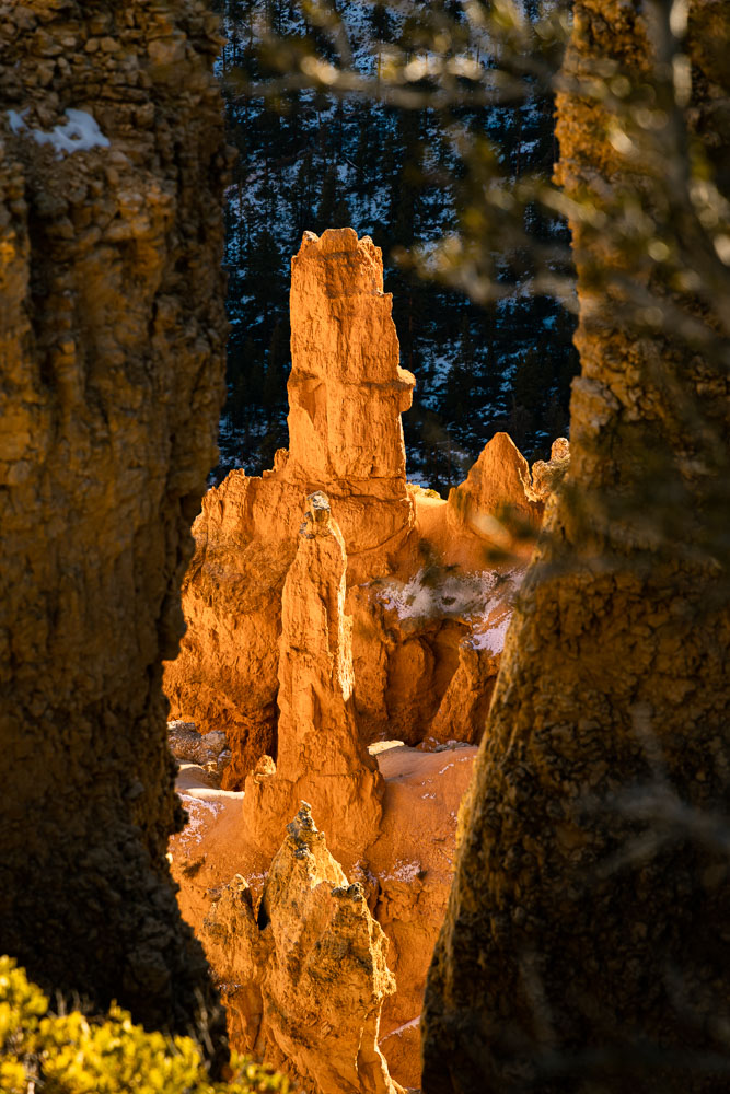 hoodoos at Bryce Canyon, Bryce Canyon photography, ArboursAbroad, Utah, National Parks