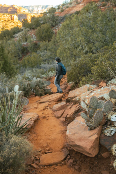 Woman walking along a trail with cactus on both sides in Sedona, Arizona.