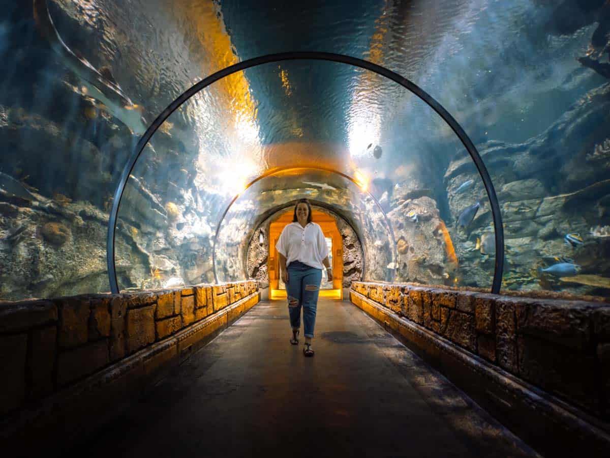 Heather from ArboursAbroad walking through the Shark Reef Aquarium Tunnel.