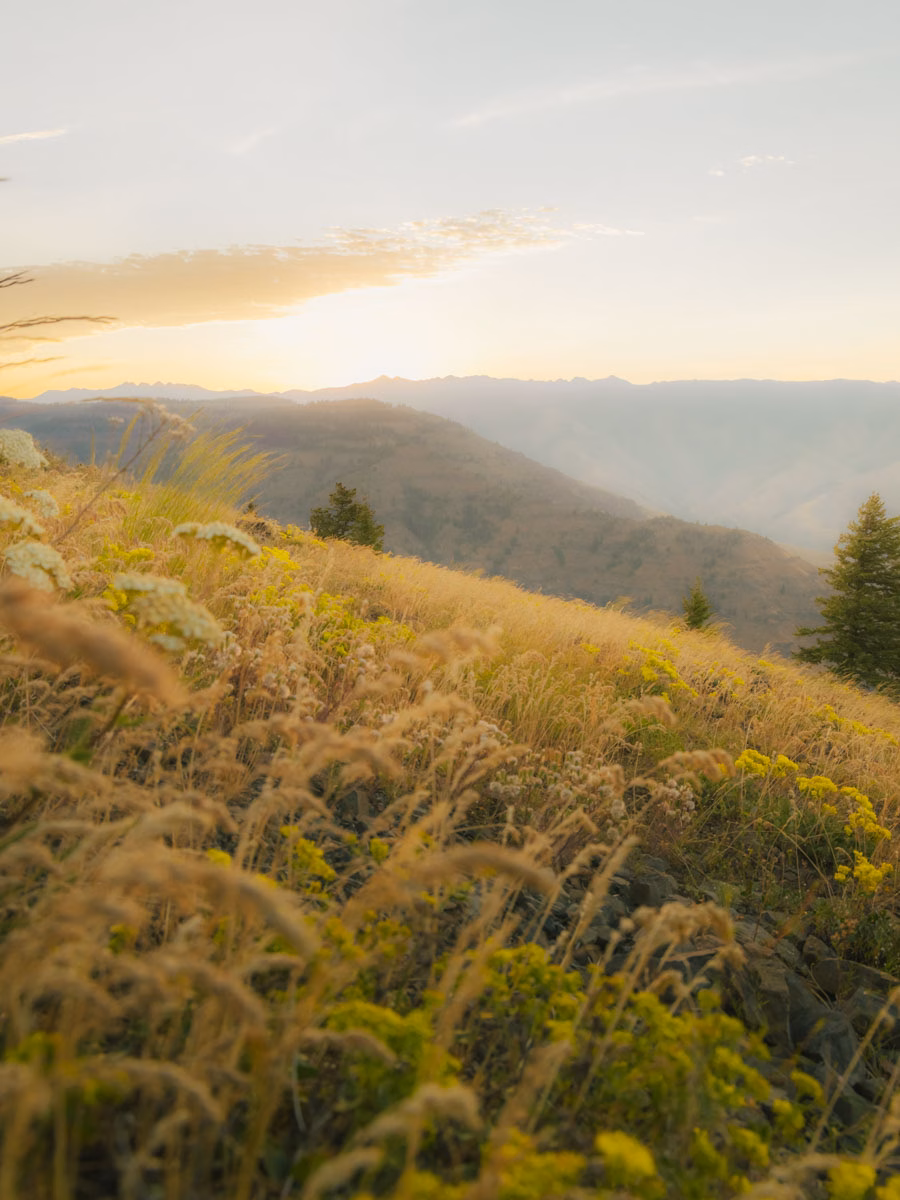Golden hour view of rolling hills at Hells Canyon Overlook, a top pick for non-hiking things to do in Joseph, Oregon.